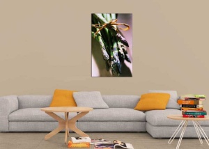 Tablou Canvas Sparanghel - Img 1