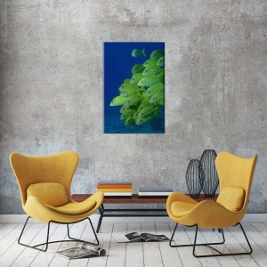 Tablou Canvas Subacvatic - Img 1