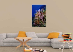 Tablou Canvas Subacvatic - Img 1