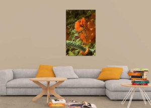 Tablou Canvas Subacvatic - Img 1