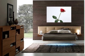Tablou Canvas Trandafir rosu