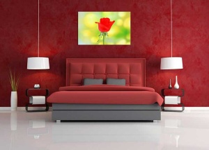 Tablou Canvas Trandafir rosu - Img 1