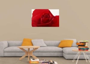 Tablou Canvas Trandafir rosu - Img 1