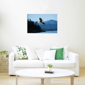 Tablou Canvas Vultur - Img 1