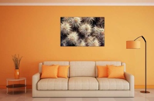 Tablou Cactus - Img 1