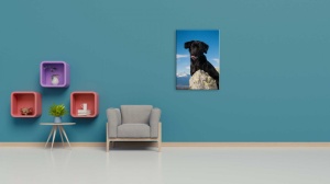 Tablou Canvas animale caine in munti - Img 2