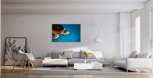 Tablou Canvas Broasca Testoasa - Img 1