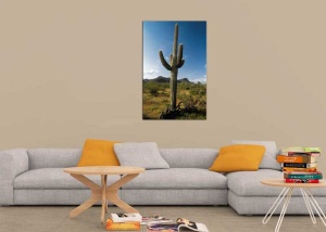 Tablou Canvas Cactus - Img 1