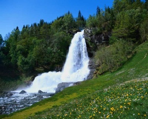 Tablou Canvas Cascada - Img 2