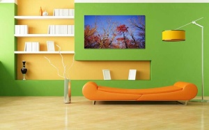 Tablou Canvas Copaci Colorati - Img 1