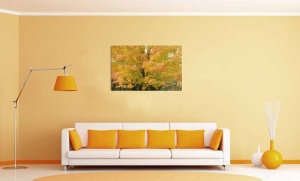 Tablou Canvas Copaci cu frunze galbene - Img 1
