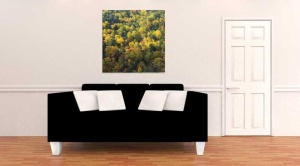 Tablou Canvas Copaci toamna - Img 1