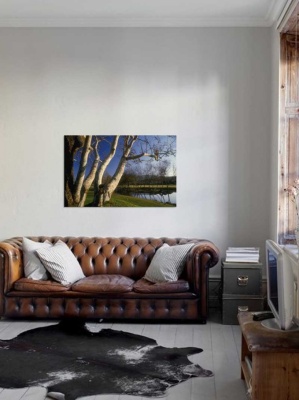 Tablou Canvas Copaci - Img 1