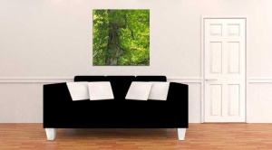 Tablou Canvas Copac - Img 1