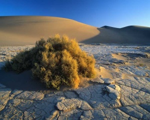 Tablou Canvas Desert - Img 2