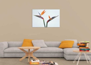 Tablou Canvas Floare - Img 1