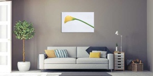 Tablou Canvas Floare