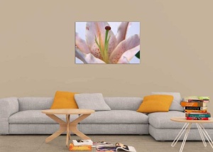 Tablou Canvas Floare - Img 1