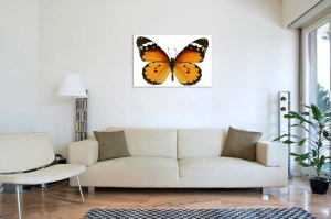 Tablou Canvas Fluturas - Img 1