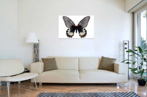 Tablou Canvas Fluturas - Img 1