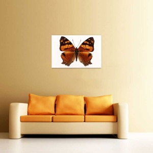 Tablou Canvas Fluturas
