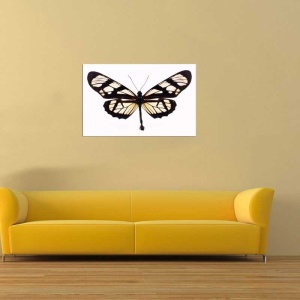 Tablou Canvas Fluturas - Img 1