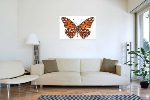 Tablou Canvas Fluturas - Img 1