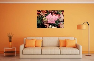 Tablou Canvas Frunze Colorate - Img 1