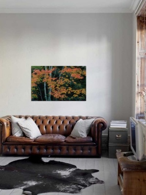 Tablou Canvas Frunze