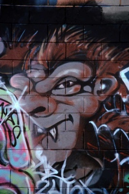 Tablou Canvas Graffiti - Img 2