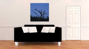 Tablou Canvas Luna