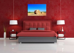 Tablou Canvas Natura Grau - Img 1