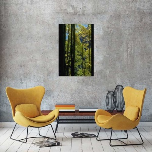 Tablou Canvas Padure - Img 1
