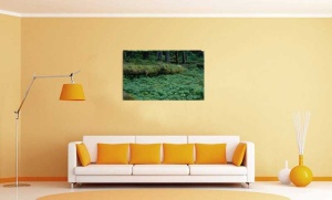 Tablou Canvas Padure - Img 1