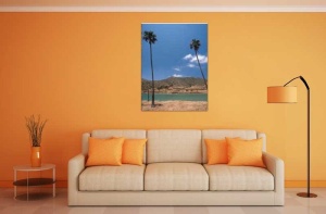 Tablou Canvas Palmier - Img 1
