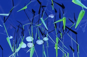 Tablou Canvas Plante - Img 2