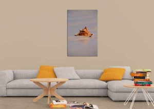 Tablou Canvas Scoica Detaliu - Img 1