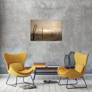 Tablou Canvas Seceta - Img 1