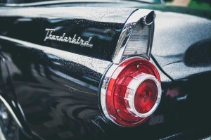 Tablou Canvas Thunderbird - Img 2