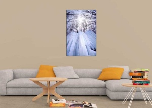 Tablou Canvas Turturi de Gheata - Img 1
