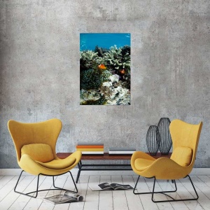 Tablou Canvas Viata Subacvatica - Img 1