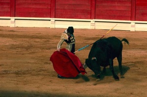 Tablou Corida - Img 2
