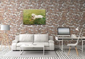 Tablou Canvas animale caine obosit