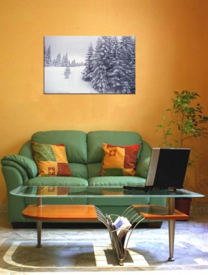 Tablou Canvas Brazi - Img 1