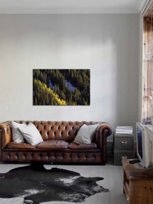 Tablou Canvas Brazi - Img 1