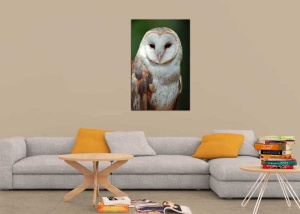 Tablou Canvas Bufnita - Img 1