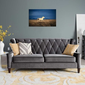 Tablou Canvas Cal Alb - Img 1