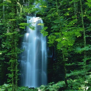Tablou Canvas Cascada - Img 2