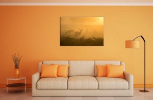 Tablou Canvas Cerbi - Img 1
