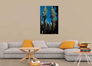 Tablou Canvas Copaci - Img 1